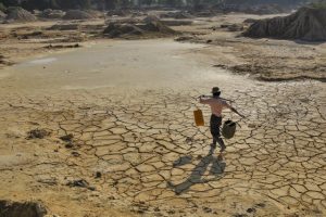 Climate change and Resilience (Research and Report)